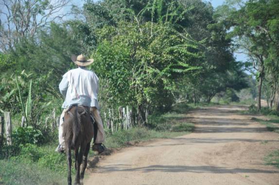 Transporte por burro, muito comum na estrada entre Astrea e Mompós, na Colômbia